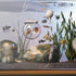 4-6-8" TankMatez Hydraulic Silent Release Bubble Fish Trap